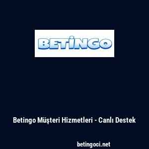 Betingo Müşteri Hizmetleri - Canlı Destek